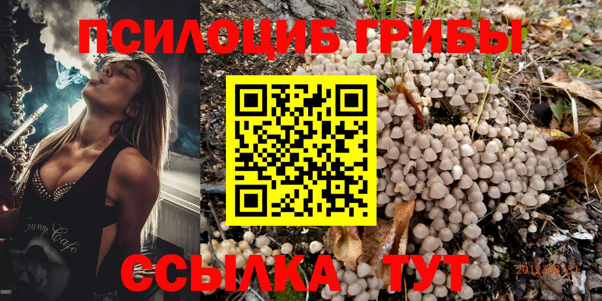 Псилоцибиновые грибы Psilocybine cubensis Можга