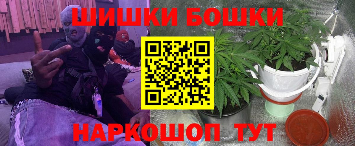 Бошки Шишки гибрид Можга